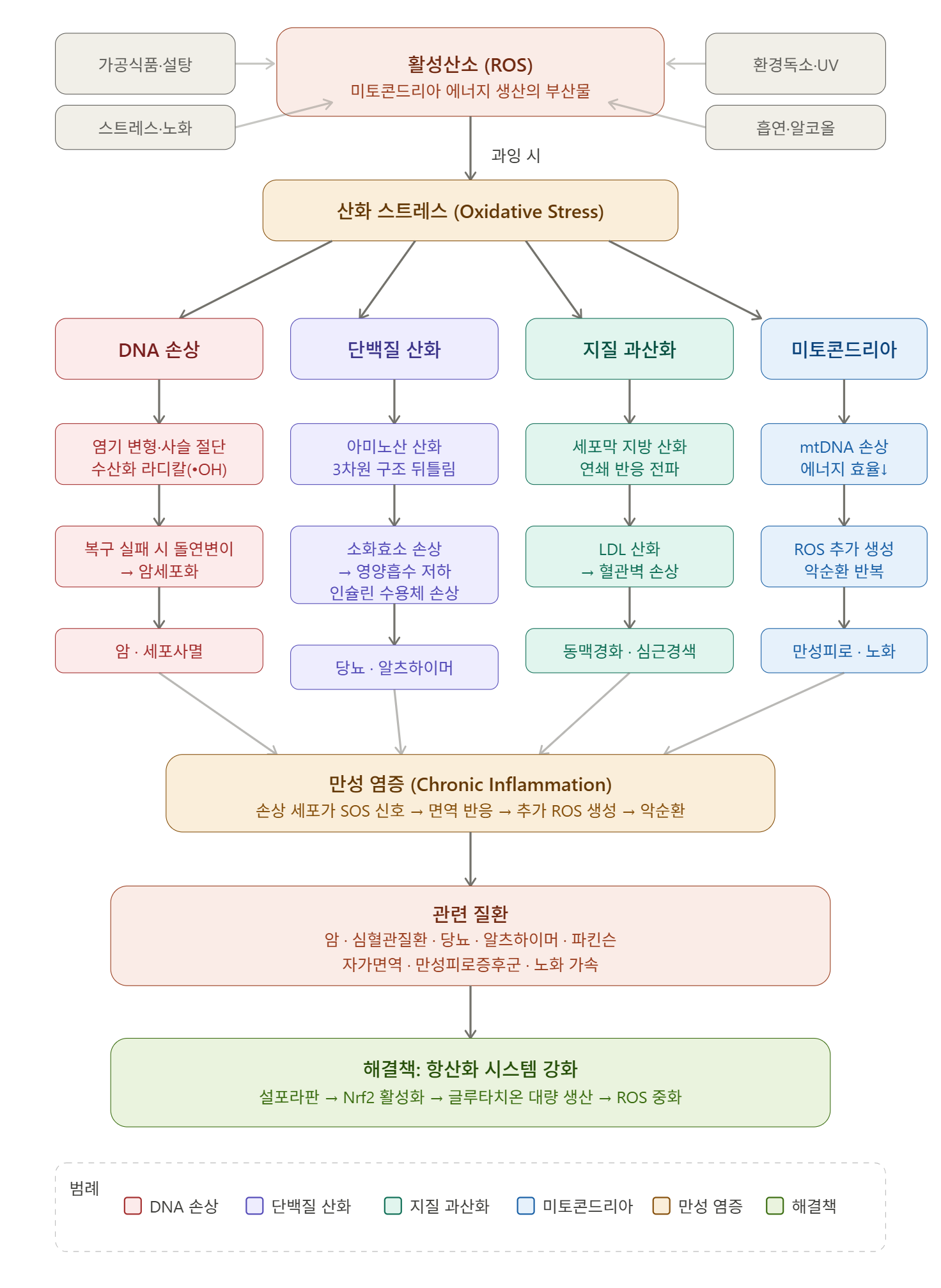해독 스무디 레시피